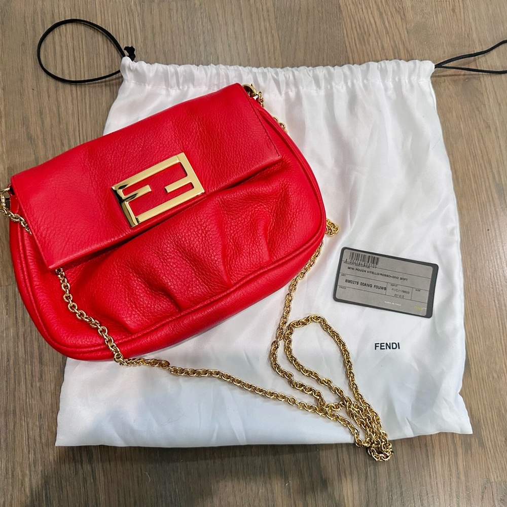 Fendi Pouch with chain